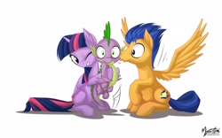 Size: 2560x1600 | Tagged: safe, artist:mysticalpha, derpibooru import, flash sentry, spike, twilight sparkle, twilight sparkle (alicorn), alicorn, dragon, pony, female, flashlight, kissing, male, mare, shipping, straight, surprise kiss, surprised, wallpaper, wingboner