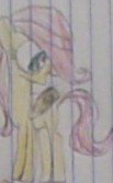 Size: 103x167 | Tagged: safe, artist:gracie_cleopatra, fluttershy, pegasus, pony, cute, female, filly, filly fluttershy, hair over one eye, lined paper, solo, traditional art, younger