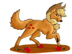 Size: 1600x1200 | Tagged: safe, artist:annakitsun3, applejack, wolf, apple, solo, species swap