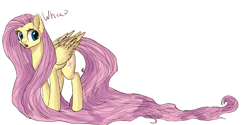 Size: 3000x1500 | Tagged: safe, artist:abovespace, fluttershy, pegasus, pony, long mane, long tail, simple background, solo