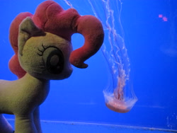 Size: 4608x3456 | Tagged: safe, artist:template93, pinkie pie, jellyfish, irl, photo, plushie