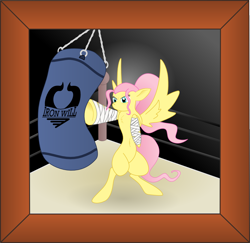 Size: 1066x1035 | Tagged: safe, artist:totallyanalicornguys, fluttershy, iron will, pegasus, pony, alternate hairstyle, belly button, boxing, chest fluff, picture frame, ponytail, solo