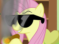 Size: 432x320 | Tagged: safe, artist:dethlunchies, fluttershy, pegasus, pony, drugs, flutterhigh, flutterjoint, marijuana, solo, sunglasses