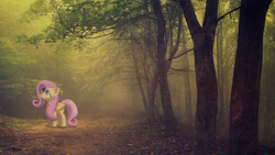 Size: 1920x1080 | Tagged: safe, artist:colorfulbrony, artist:yanoda, fluttershy, curious, fog, irl, pathway, photo, ponies in real life, solo, tree, vector, wallpaper