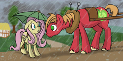 Size: 6000x3000 | Tagged: safe, artist:haselwoelfchen, big macintosh, fluttershy, earth pony, pegasus, pony, fanfic, fluttermac, male, rain, shipping, stallion, straight, umbrella