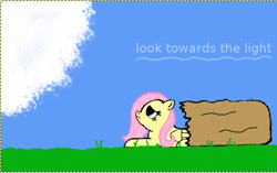 Size: 640x403 | Tagged: safe, fluttershy, pegasus, pony, bag, female, mare, pink mane, solo, yellow coat