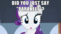 Size: 610x343 | Tagged: safe, rarity, pony, unicorn, homestar runner, image macro, meme, parakeet, quote, reference