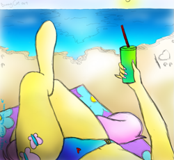 Size: 659x605 | Tagged: safe, artist:bunnycat, fluttershy, anthro, beach, bikini, clothes, female pov, ocean, pov, solo, swimsuit