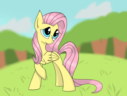 Size: 1024x768 | Tagged: safe, artist:cristalshy, fluttershy, pegasus, pony, female, mare, pink mane, solo, yellow coat