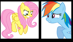 Size: 347x202 | Tagged: safe, derpibooru import, fluttershy, rainbow dash, pegasus, pony, angry, google images