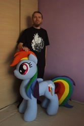 Size: 1519x2283 | Tagged: safe, artist:adamar44, derpibooru import, rainbow dash, human, irl, irl human, photo, plushie