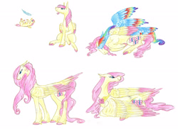 Size: 3508x2551 | Tagged: safe, artist:dawn22eagle, derpibooru import, fluttershy, rainbow dash, pegasus, pony, age progression, element of kindness, female, filly fluttershy, flutterdash, lesbian, shipping, traditional art