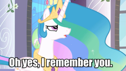 Size: 551x310 | Tagged: safe, screencap, princess celestia, alicorn, pony, image macro, meme, solo