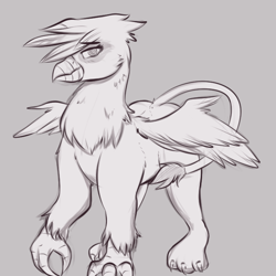 Size: 714x713 | Tagged: safe, artist:sugarlesspaints, oc, oc only, griffon, grayscale, monochrome, sketch