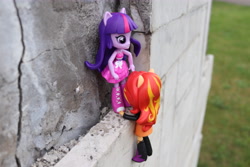 Size: 6000x4000 | Tagged: safe, artist:artofmagicpoland, sunset shimmer, twilight sparkle, twilight sparkle (alicorn), alicorn, equestria girls, doll, equestria girls minis, long live the king, reference, the lion king, toy, twibitch sparkle