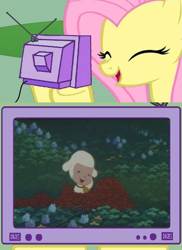 Size: 561x769 | Tagged: safe, fluttershy, pegasus, pony, sheep, chirin no suzu, exploitable meme, fs doesn't know what she's getting into, meme, obligatory pony, ringing bell, solo, this will end in tears, tv meme