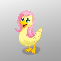 Size: 700x700 | Tagged: safe, artist:kushina13, fluttershy, duck, cute, female, flutterduck, gray background, open beak, pixiv, simple background, solo, species swap