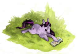 Size: 843x594 | Tagged: safe, artist:mothtail, derpibooru import, twilight sparkle, rabbit, book, hoers, solo