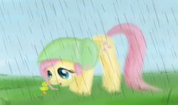 Size: 600x352 | Tagged: safe, artist:flutterluv, fluttershy, duck, pegasus, pony, rain, solo