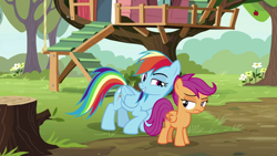 Size: 1280x720 | Tagged: safe, derpibooru import, screencap, rainbow dash, scootaloo, pegasus, pony, the washouts (episode), duo, female, filly, foal, mare, tree, unamused