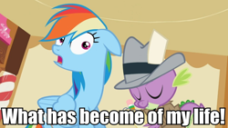 Size: 960x540 | Tagged: safe, derpibooru import, rainbow dash, spike, dragon, pegasus, pony, image macro, meme