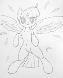 Size: 556x681 | Tagged: safe, derpibooru import, twilight sparkle, twilight sparkle (alicorn), alicorn, pony, female, mare, monochrome, sketch, solo