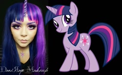 Size: 1455x904 | Tagged: safe, artist:ryookie, derpibooru import, twilight sparkle, human, cosplay, irl, irl human, photo