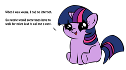 Size: 1194x668 | Tagged: safe, derpibooru import, twilight sparkle, pony, unicorn, dialogue, female, filly, filly twilight sparkle, filly twilight telling an offensive joke, horn, internet, looking at you, meme, multicolored mane, multicolored tail, obligatory pony, purple coat, simple background, sitting, smiling, solo, talking to viewer, underhoof, vulgar, white background