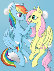 Size: 2448x3264 | Tagged: safe, artist:saphire-dragon42, derpibooru import, fluttershy, rainbow dash, pegasus, pony, cloud, duo, female, flutterdash, lesbian, shipping