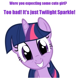 Size: 1200x1200 | Tagged: safe, derpibooru import, twilight sparkle, cute, irony, it was me, meme, solo, text