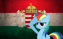 Size: 2560x1600 | Tagged: safe, artist:szinthom, derpibooru import, rainbow dash, pegasus, pony, flag, hungarian, hungary, rainbow dash salutes, salute, solo