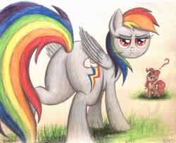 Size: 991x807 | Tagged: safe, artist:thefriendlyelephant, derpibooru import, pinkie pie, rainbow dash, earth pony, pegasus, pony, art block, butt, funny, grass, grumpy, head tilt, looking at you, perspective, plot, question mark, solo, traditional art, wings