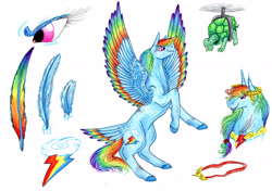 Size: 6664x4704 | Tagged: safe, artist:dawn22eagle, derpibooru import, rainbow dash, tank, pegasus, pony, absurd resolution, backwards cutie mark, element of loyalty, rainbow, rainbow feathers, tail feathers, wings