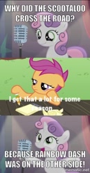 Size: 266x512 | Tagged: safe, derpibooru import, rainbow dash, scootaloo, sweetie belle, pegasus, pony, bloom and gloom, bad sweetie belle joke, lol, meme, scootachicken, scootaloo is not amused, scootobsession