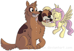 Size: 4300x3000 | Tagged: safe, artist:crispokefan, fluttershy, orthros, dog, pegasus, pony, absurd resolution, drool, female, mare, multiple heads, petting, simple background, two heads, white background