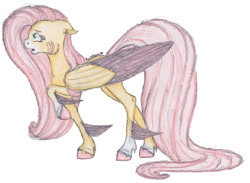 Size: 1024x748 | Tagged: safe, artist:rarityforever, fluttershy, pegasus, pony, female, mare, solo, traditional art