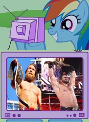 Size: 563x771 | Tagged: safe, derpibooru import, rainbow dash, pegasus, pony, championship belt, daniel bryan, exploitable meme, intercontinental championship, meme, obligatory pony, seth rollins, tv meme, wrestlemania, wrestlemania 31, wwe, wwe world heavyweight championship