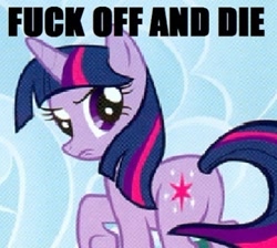 Size: 416x373 | Tagged: safe, derpibooru import, twilight sparkle, plot, reaction image, solo, vulgar