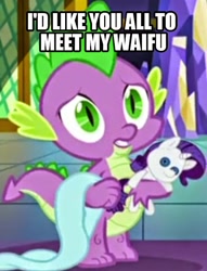 Size: 540x705 | Tagged: safe, screencap, rarity, spike, dragon, pony, unicorn, blanket, crush plush, frown, gritted teeth, image macro, male, meme, plushie, rarity plushie, solo, sparilush, waifu, worried