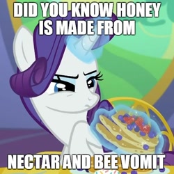 Size: 500x499 | Tagged: safe, edit, edited screencap, screencap, rarity, pony, unicorn, castle sweet castle, caption, food fact rarity, forced meme, honey, meme, meta, nectar, solo, vomit