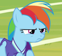 Size: 480x435 | Tagged: safe, derpibooru import, screencap, rainbow dash, pegasus, pony, the end in friend, animated, facehoof, reaction image, solo