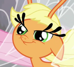 Size: 570x522 | Tagged: safe, screencap, applejack, breezie, it ain't easy being breezies, applebreezie, breeziefied, carlos, carlosjack, cropped, faic, meme, solo, species swap