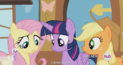 Size: 1151x609 | Tagged: safe, screencap, applejack, fluttershy, twilight sparkle, twilight sparkle (alicorn), alicorn, breezie, earth pony, pegasus, pony, it ain't easy being breezies, female, hub logo, mare, meme, pppp, youtube caption