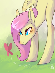 Size: 750x1000 | Tagged: safe, artist:nix-wingedone, fluttershy, butterfly, pegasus, pony, female, mare, solo