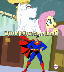 Size: 452x505 | Tagged: safe, bulk biceps, fluttershy, pegasus, pony, blonde, blonde mane, blonde tail, blue eyes, curtain, ear piercing, exploitable meme, female, looking to side, looking to the right, male, mare, meme, open mouth, piercing, pink mane, pink tail, red eyes, replacement meme, smiling, spread wings, stallion, superman, text, white coat, wings, yellow coat