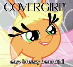 Size: 456x418 | Tagged: safe, edit, edited screencap, screencap, applejack, breezie, it ain't easy being breezies, applebreezie, breeziefied, carlos, carlosjack, cover girl, image macro, meme, solo, species swap