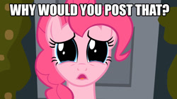 Size: 1054x592 | Tagged: safe, pinkie pie, earth pony, pony, female, image macro, mare, meme, pink coat, pink mane, why would you post that