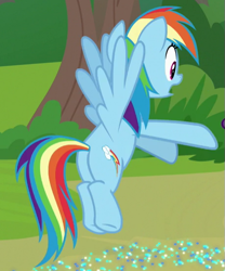 Size: 457x549 | Tagged: safe, derpibooru import, screencap, rainbow dash, pegasus, pony, the end in friend, azurantium, cropped, female, flying, mare, plot, solo, sparkles