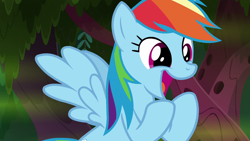 Size: 1280x720 | Tagged: safe, derpibooru import, screencap, rainbow dash, pegasus, pony, the end in friend, cute, dashabetes, female, mare, open mouth, smiling, solo