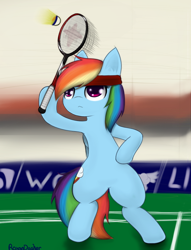 Size: 980x1280 | Tagged: safe, artist:roxandasher, derpibooru import, rainbow dash, pegasus, pony, badminton, headband, shuttlecock, solo, tennis